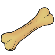 dog bone